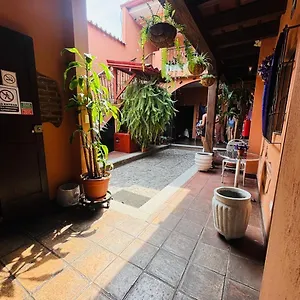 Chilero Y Cafe Hotel
